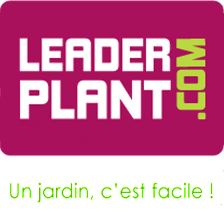  Leaderplant